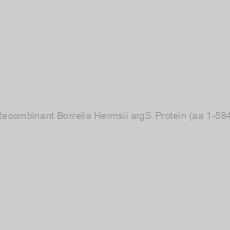Image of Recombinant Borrelia Hermsii argS Protein (aa 1-584)